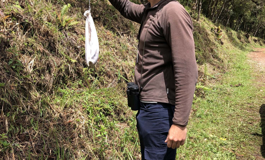 Uma equipe de biólogos que atua nos estudos exigidos pelo projeto da Nova Ferroeste iniciou na semana passada a quarta e última campanha da fauna, que faz o levantamento e identificação das espécies existentes nas áreas do traçado da ferrovia. Espécies endêmicas de anfíbios, anta, onça-parda, aves e animais ameaçados de extinção foram identificados na Serra do Mar, onde foram realizados os trabalhos.Foto: Heloísa Vieira/AEN