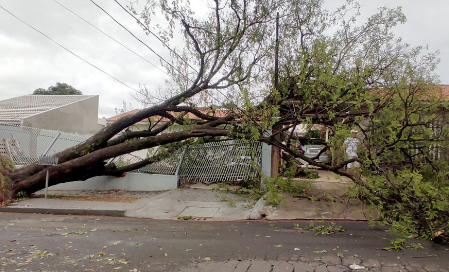 Paraná oferece moratória e acesso a crédito para municípios afetados pelo temporal. Foto: Defesa Civil
