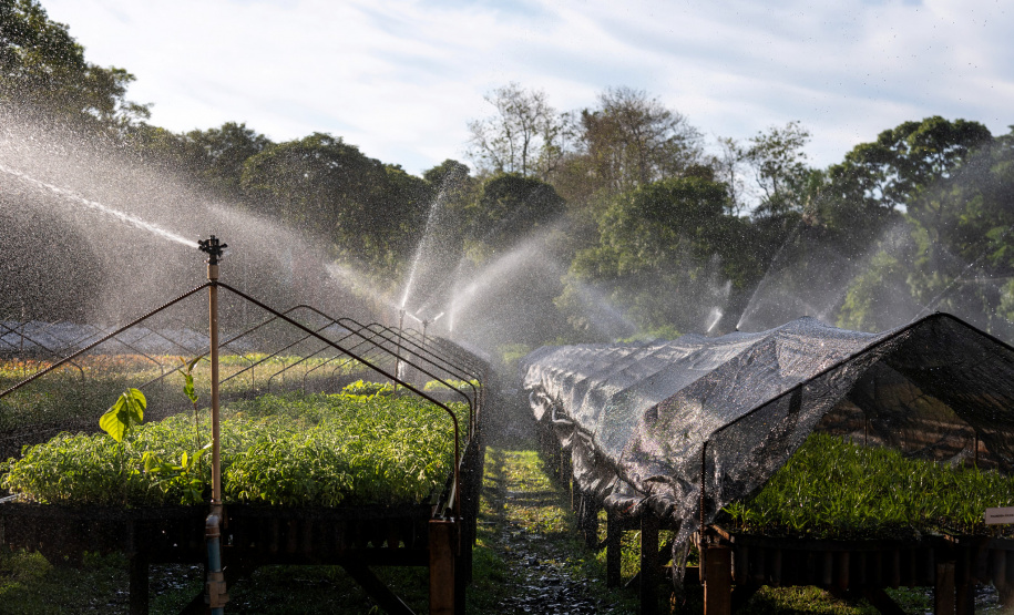 De olho no futuro, Itaipu aposta na parceria ambiental e de infraestrutura com o Paraná. Foto: Rubens Fraulini /Itaipu Binacional