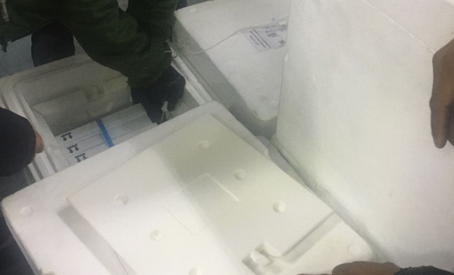 O Ministério da Saúde enviou ao Paraná 30.420 novas vacinas contra a Covid-19 nesta quarta-feira (27). As doses da Pfizer/BioNTech chegaram às 8h25, no voo LA4787, no Aeroporto Afonso Pena, em São José dos Pinhais, na Região Metropolitana de Curitiba. - Curitiba, 27/10/2021 - Foto: SESA