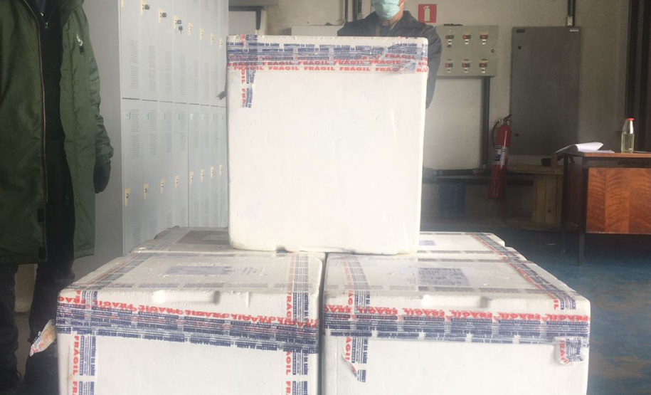 O Ministério da Saúde enviou ao Paraná 30.420 novas vacinas contra a Covid-19 nesta quarta-feira (27). As doses da Pfizer/BioNTech chegaram às 8h25, no voo LA4787, no Aeroporto Afonso Pena, em São José dos Pinhais, na Região Metropolitana de Curitiba. - Curitiba, 27/10/2021 - Foto: SESA