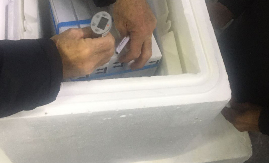 O Ministério da Saúde enviou ao Paraná 30.420 novas vacinas contra a Covid-19 nesta quarta-feira (27). As doses da Pfizer/BioNTech chegaram às 8h25, no voo LA4787, no Aeroporto Afonso Pena, em São José dos Pinhais, na Região Metropolitana de Curitiba. - Curitiba, 27/10/2021 - Foto: SESA