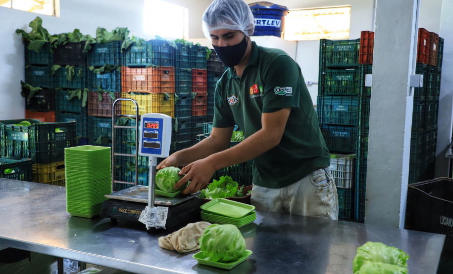 ORGÂNICOS DO SUL - Tijucas do Sul - Produtor Flavio Henrique Setim - 25/06/2021 - Foto: José Fernando Ogura/AEN