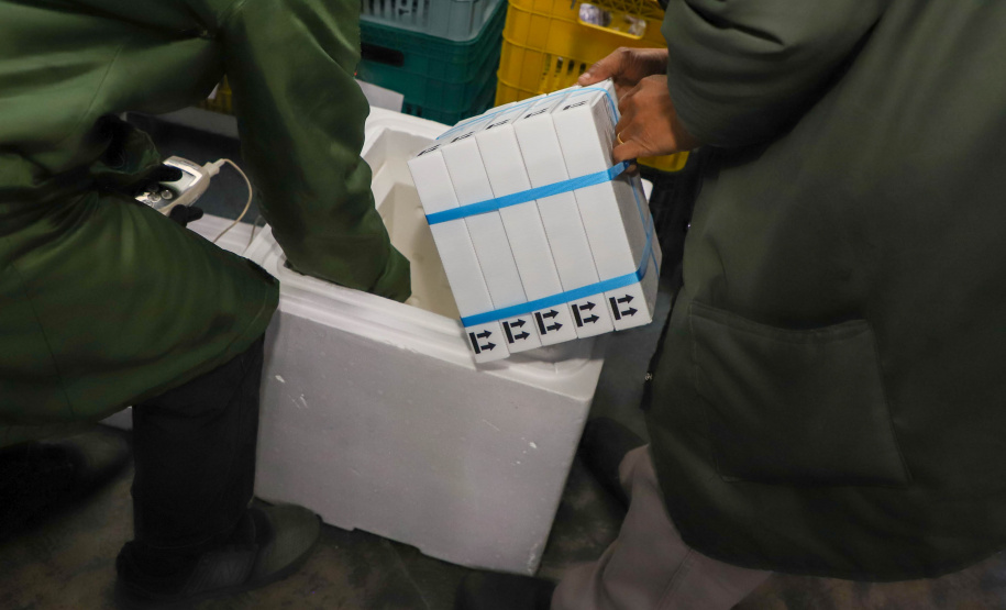 Vacinas Mais 193 mil vacinas da Pfizer chegaram ao Paraná nesta sexta-feira Foto: Ari Dias/AEN