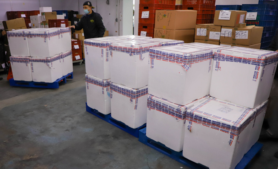 Vacinas Mais 193 mil vacinas da Pfizer chegaram ao Paraná nesta sexta-feira Foto: Ari Dias/AEN