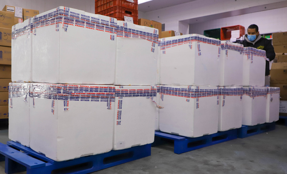 Vacinas Mais 193 mil vacinas da Pfizer chegaram ao Paraná nesta sexta-feira Foto: Ari Dias/AEN