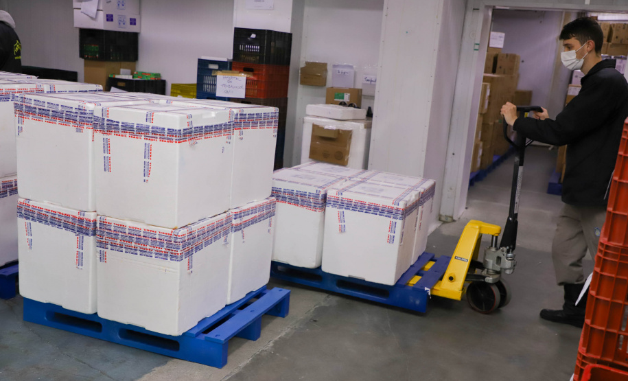 Vacinas Mais 193 mil vacinas da Pfizer chegaram ao Paraná nesta sexta-feira Foto: Ari Dias/AEN