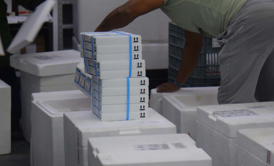 Estado recebe novas doses de vacinas contra a Covid-19 para adolescentes . Foto: Américo Antonio/SESA