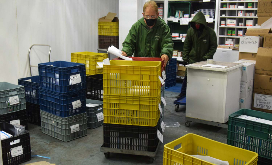 Saúde inicia nova distribuição de mais 671 mil doses aos municípios. Foto: Américo Antonio/SESA