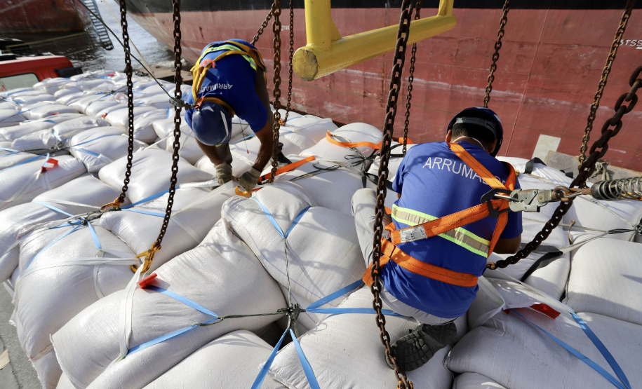No berço 202 do Porto de Paranaguá, o navio Lady Lilly recebe uma carga inédita de gergelim em sacas. O produto nacional, que segue para exportação, é estivado direto nos cinco porões da embarcação. Em média, cada espaço vai levar cerca de 4 mil toneladas da semente, totalizando um embarque de 20 mil toneladas que têm como destino a Guatemala. - Paranaguá, 04/11/2021 - Foto: Cláudio Neves/Portos do Paraná