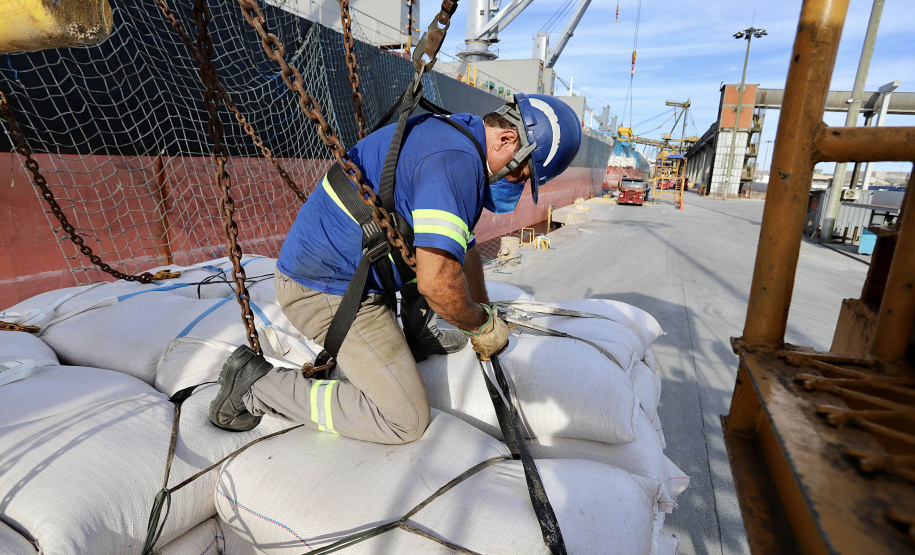 No berço 202 do Porto de Paranaguá, o navio Lady Lilly recebe uma carga inédita de gergelim em sacas. O produto nacional, que segue para exportação, é estivado direto nos cinco porões da embarcação. Em média, cada espaço vai levar cerca de 4 mil toneladas da semente, totalizando um embarque de 20 mil toneladas que têm como destino a Guatemala. - Paranaguá, 04/11/2021 - Foto: Cláudio Neves/Portos do Paraná