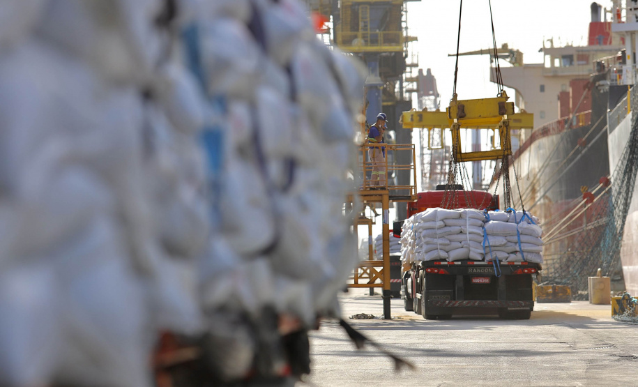No berço 202 do Porto de Paranaguá, o navio Lady Lilly recebe uma carga inédita de gergelim em sacas. O produto nacional, que segue para exportação, é estivado direto nos cinco porões da embarcação. Em média, cada espaço vai levar cerca de 4 mil toneladas da semente, totalizando um embarque de 20 mil toneladas que têm como destino a Guatemala. - Paranaguá, 04/11/2021 - Foto: Cláudio Neves/Portos do Paraná