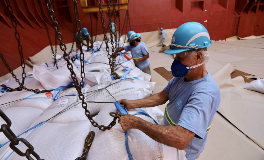 No berço 202 do Porto de Paranaguá, o navio Lady Lilly recebe uma carga inédita de gergelim em sacas. O produto nacional, que segue para exportação, é estivado direto nos cinco porões da embarcação. Em média, cada espaço vai levar cerca de 4 mil toneladas da semente, totalizando um embarque de 20 mil toneladas que têm como destino a Guatemala. - Paranaguá, 04/11/2021 - Foto: Cláudio Neves/Portos do Paraná