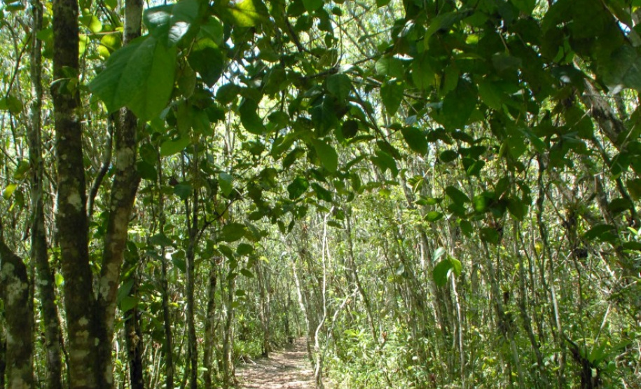 Paraná apresenta potencial do turismo náutico no maior evento do setor da América Latina. Foto: Denis Ferreira Netto