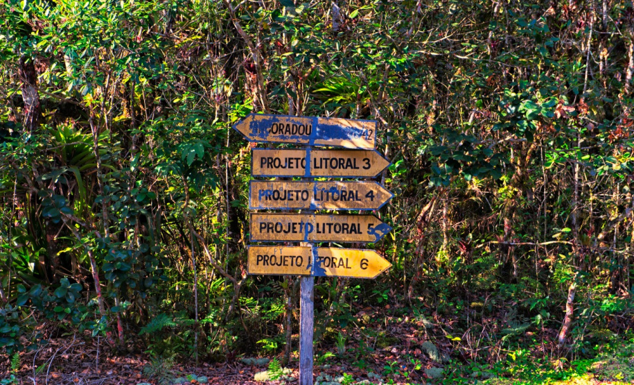 Paraná apresenta potencial do turismo náutico no maior evento do setor da América Latina. Foto: Denis Ferreira Netto