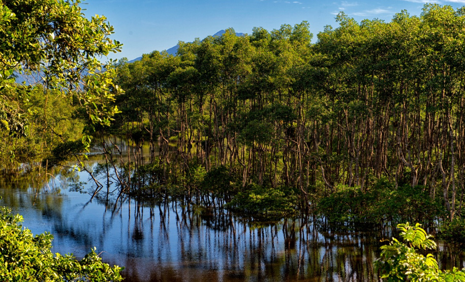 Paraná apresenta potencial do turismo náutico no maior evento do setor da América Latina. Foto: Denis Ferreira Netto