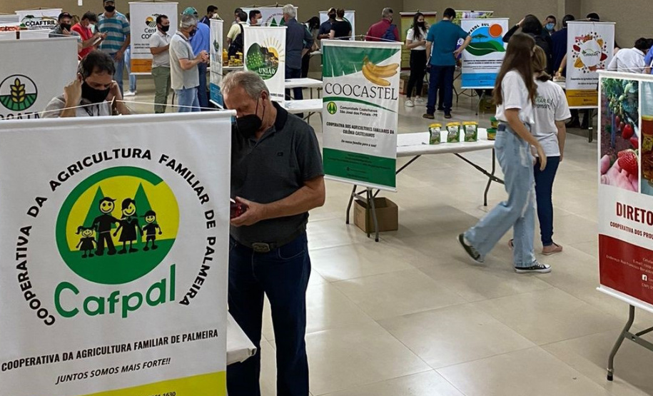Primeira rodada de negócios aproxima compradores e cooperativas familiares na Ceasa. Foto: IDR