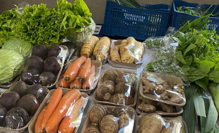 Primeira rodada de negócios aproxima compradores e cooperativas familiares na Ceasa. Foto: IDR