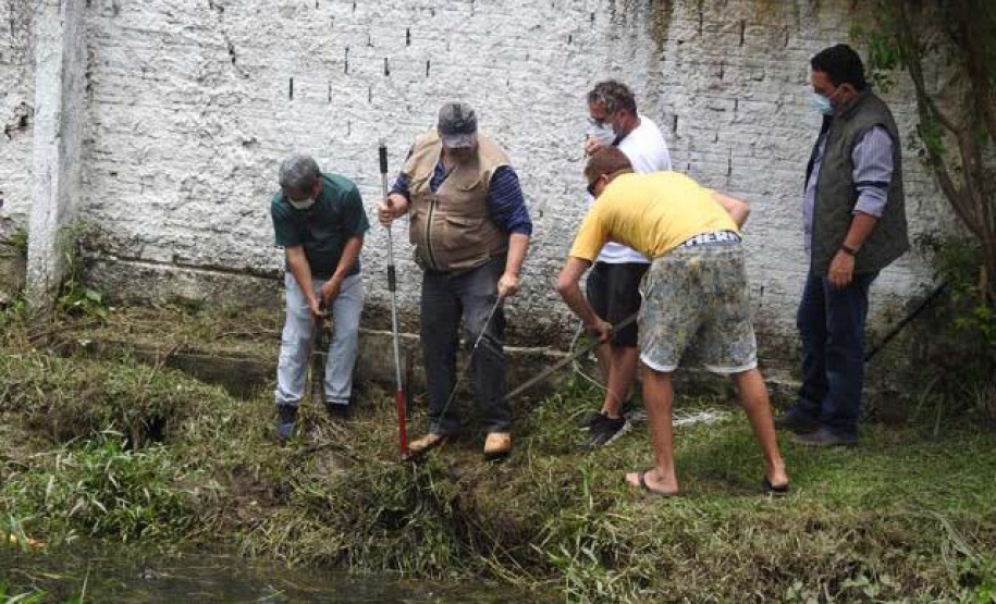IAT resgata jacaré-do-papo-amarelo de canal em Matinhos. Foto: IAT
