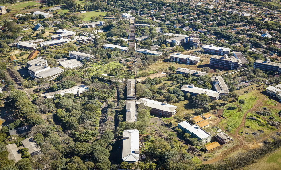 Câmpus Universitário, em Maringá, é conhecido por sua grande área verde .Foto: UEM