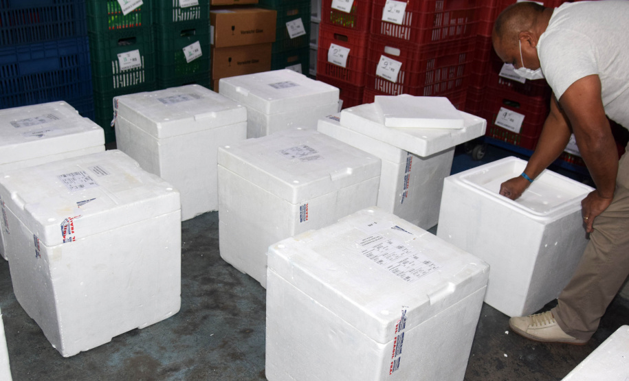 O Paraná recebeu nesta segunda-feira (8) mais 161.460 imunizantes da Pfizer/BioNTech. A nova remessa ainda aguarda a divulgação do informe técnico do Governo Federal e, por isso, ainda não tem público-alvo definido. - Curitiba, 08/11/2021 - Foto: Américo Antonio/SESA