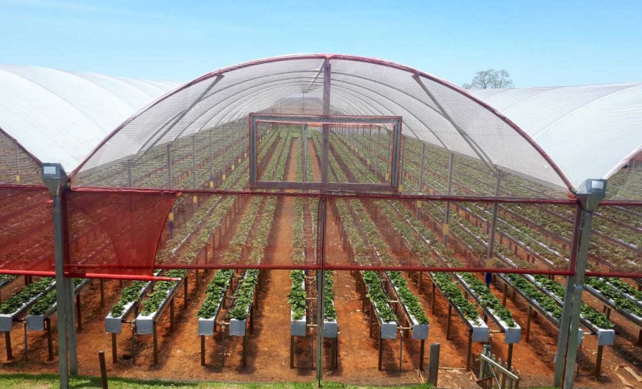 Entrega de pavimentação de estrada rural e de máquinas, caminhão e equipamentos para cooperativas de agricultura familiar, inauguração de cozinha comunitária. Estas foram algumas das ações dos secretários estaduais da Agricultura e do Abastecimento, Norberto Ortigara, e do Planejamento e Projetos Estruturantes, Valdemar Bernardo Jorge, na semana passada na região do Norte Pioneiro. - Curitiba, 08/11/2021 - Foto: SEAB