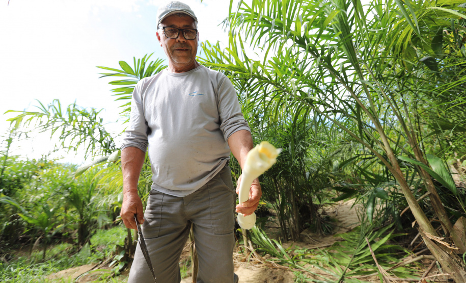VRS Mata Atlântica ? Litoral Paraná - Guaraqueçaba  -  Foto: Geraldo Bubniak/AEN