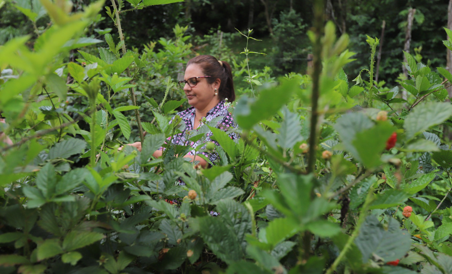 VRS Mata Atlântica ? Litoral Paraná - Apresentação do projeto em Morretes  e conversa com os produtores locais. Na foto produtora Rosana Robassa - Producao Amora    -  Foto: Geraldo Bubniak/AEN