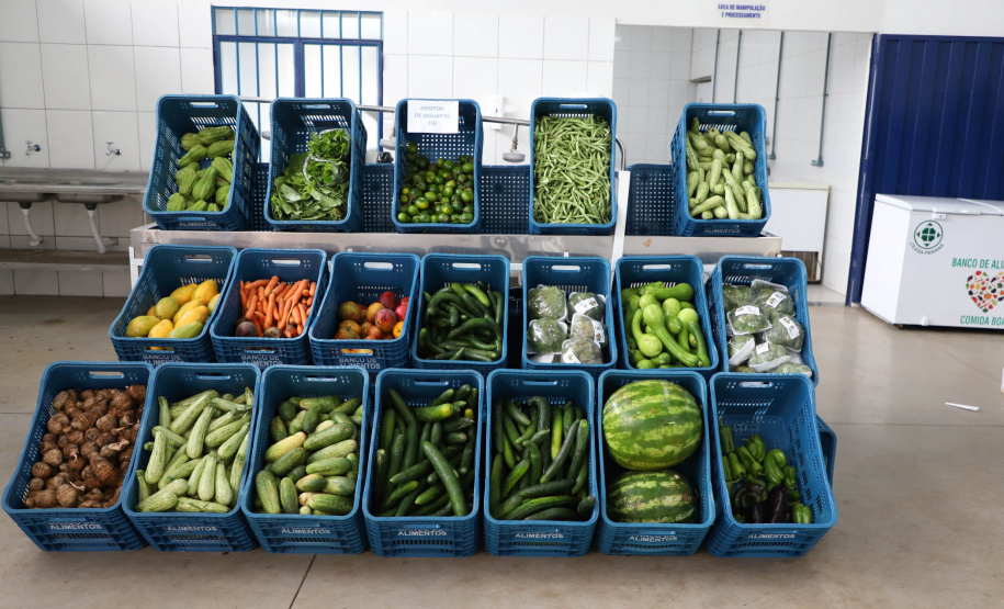 Ceasa Paraná fará concurso público para modernizar quadro funcional - Foto: Ari Dias/AEN