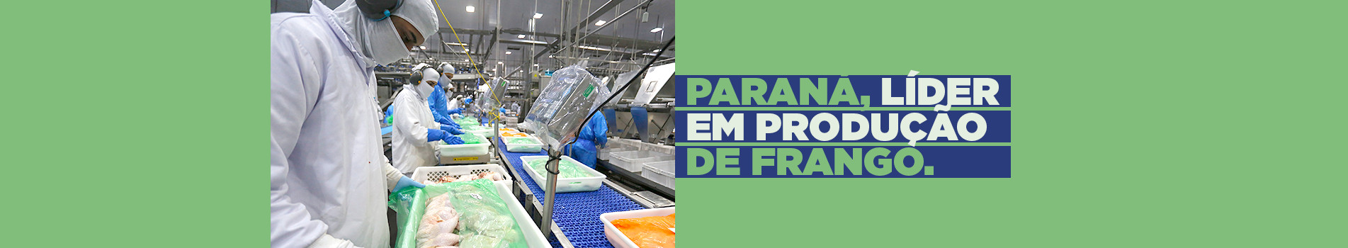 banner Líder Produção de Frango